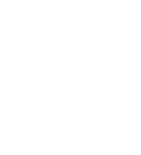 AS Solutions